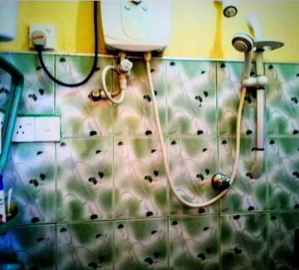 Happy Morning Bliss Bed and Breakfast Mirissa Εξωτερικό φωτογραφία